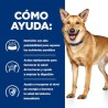 Hill's Prescription Diet i/d alimento húmedo para perros